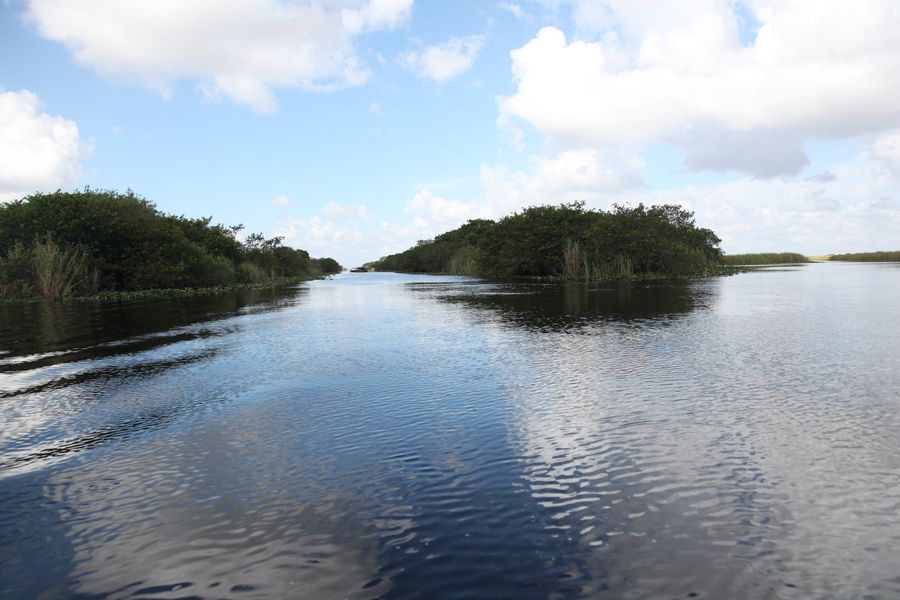 Everglades09